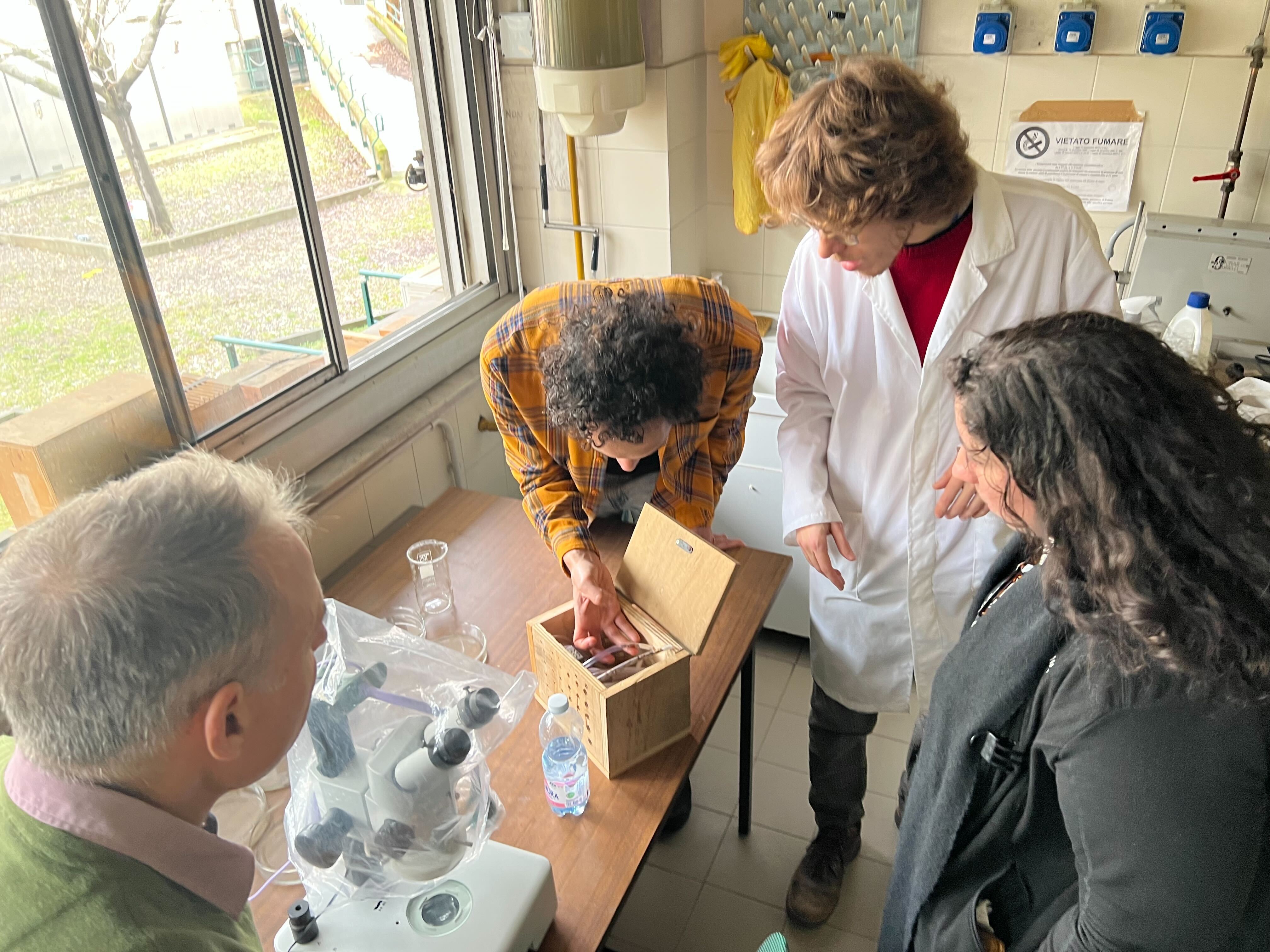 Scientists carrying out work in a bee research lab