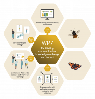 Work package 7 infographic