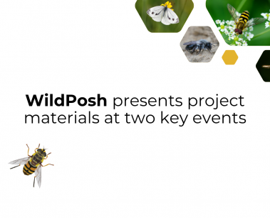 WildPosh spotted at two key events