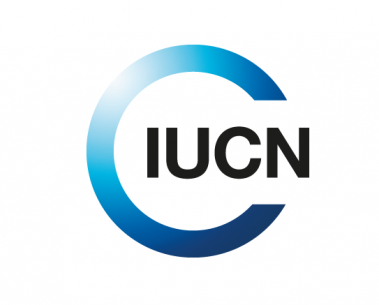 IUCN warns of declining European pollinators