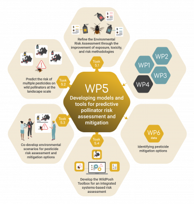 Work package 5 infographic