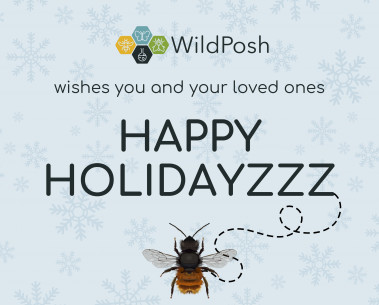 Warm holiday wishes from Wildposh