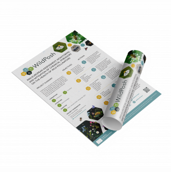 Poster promotional material