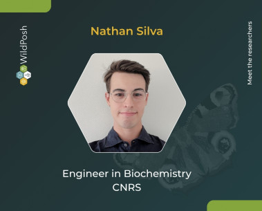 Meet the researchers: Nathan Silva