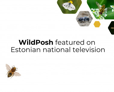 WildPosh featured on Еstonian popular science programme Osoon