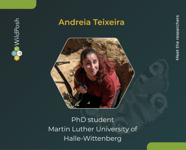 Meet the researchers: Andreia Teixeira