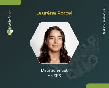 Meet the researchers: Lauréna Porcel