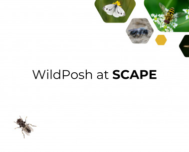 WildPosh at SCAPE: Presenting pesticide sensitivity research