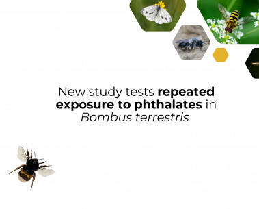 New paper studies the effects of repeated exposure to realistic doses of phthalates