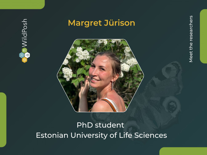Meet the researchers:  Margret Jürison