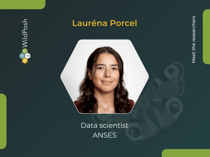 Meet the researchers: Lauréna Porcel