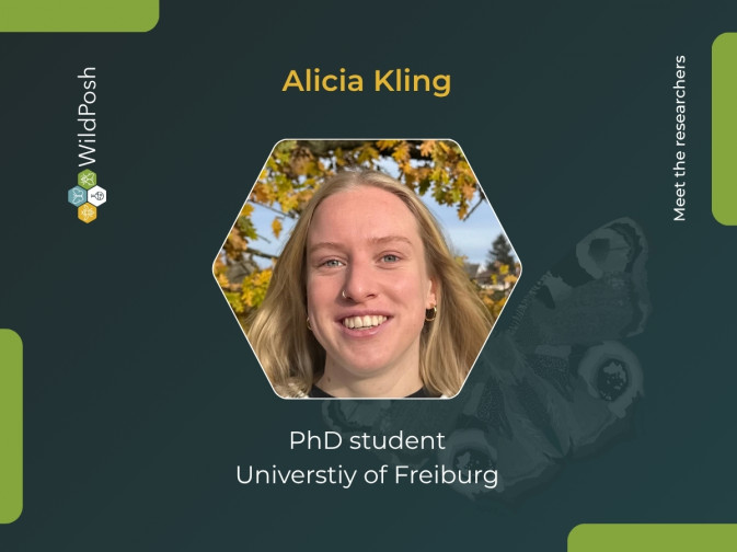 Meet the researchers: Alicia Kling