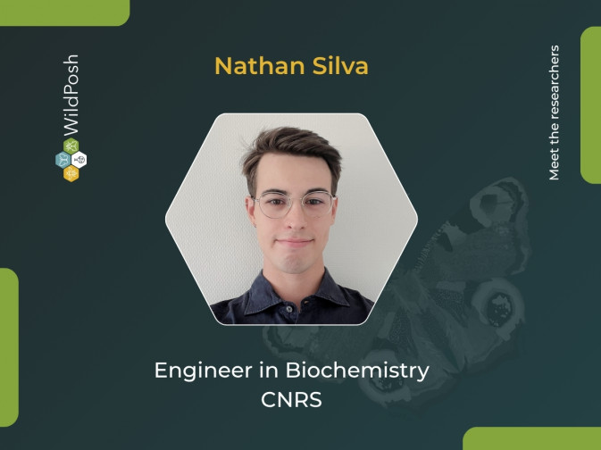 Meet the researchers: Nathan Silva