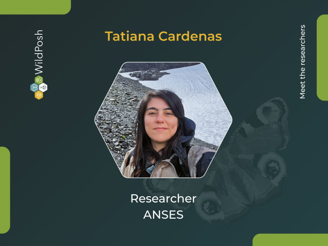 Meet the researchers: Tatiana Cardenas