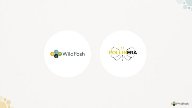 WildPosh and PollinERA strengthen collaboration to protect pollinators across Europe