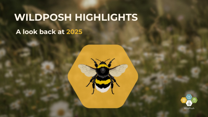 WildPosh releases 2025 highlights video