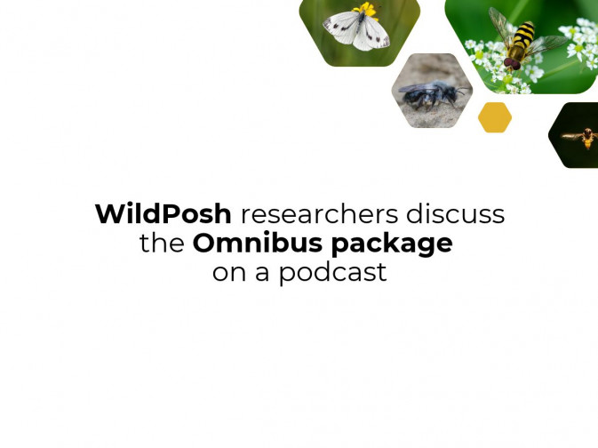 WildPosh researchers discuss the Omnibus package on German gardening podcast