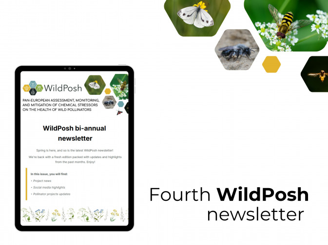 New edition of the WildPosh newsletter now out