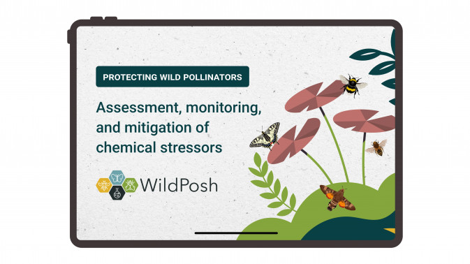 WildPosh releases animated intro video