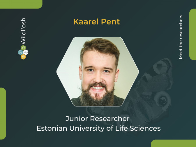 Meet the researchers: Kaarel Pent