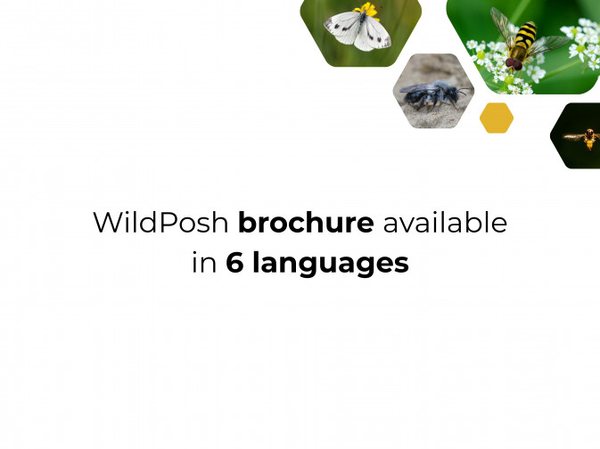 WildPosh brochure now available in 6 languages